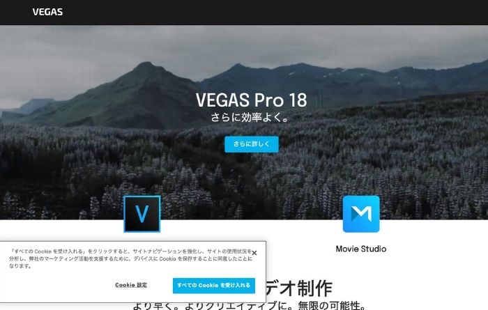 Vegas Proとは